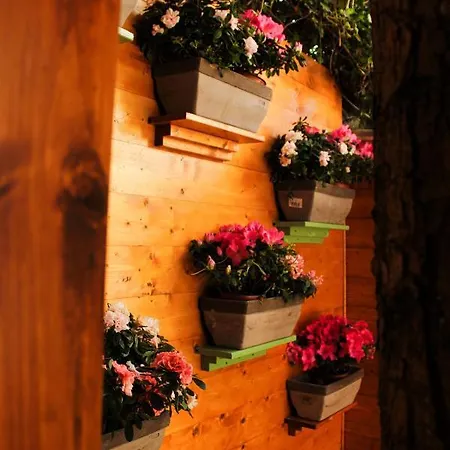 Bed and Breakfast La Casa Di Nonno Giulio Porto SantʼElpidio