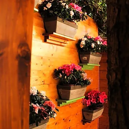 La Casa Di Nonno Giulio 3*