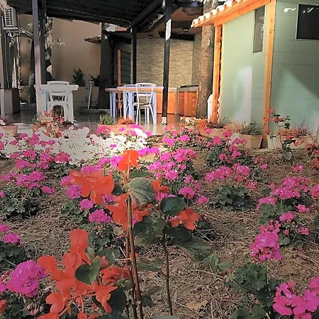 La Casa Di Nonno Giulio ベッド・アンド・ブレックファスト Porto SantʼElpidio