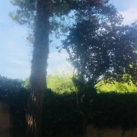 فندق مبيت وإفطار La Casa Di Nonno Giulio 3*