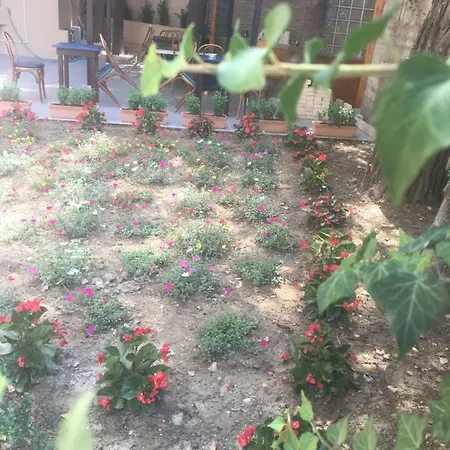 La Casa Di Nonno Giulio Porto SantʼElpidio