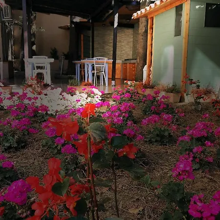 La Casa Di Nonno Giulio *